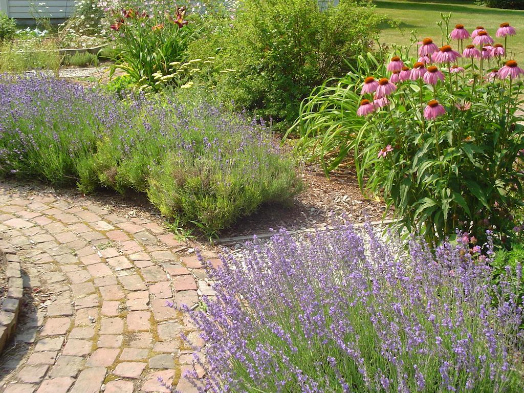 Stephen Clay Homestead Bed And Breakfast Candia Extérieur photo